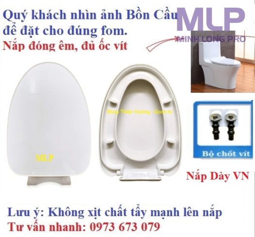 Nắp Bồn Cầu V Mũi Nhọn